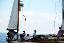 Captiva Concordia #100 Captiva