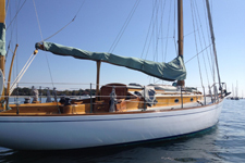 Captiva Concordia #100 Captiva