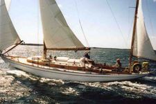 Concordia #101 Sea Hawk