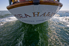 Concordia #101 Sea Hawk