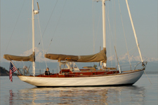 Irene Concordia #103 Irene