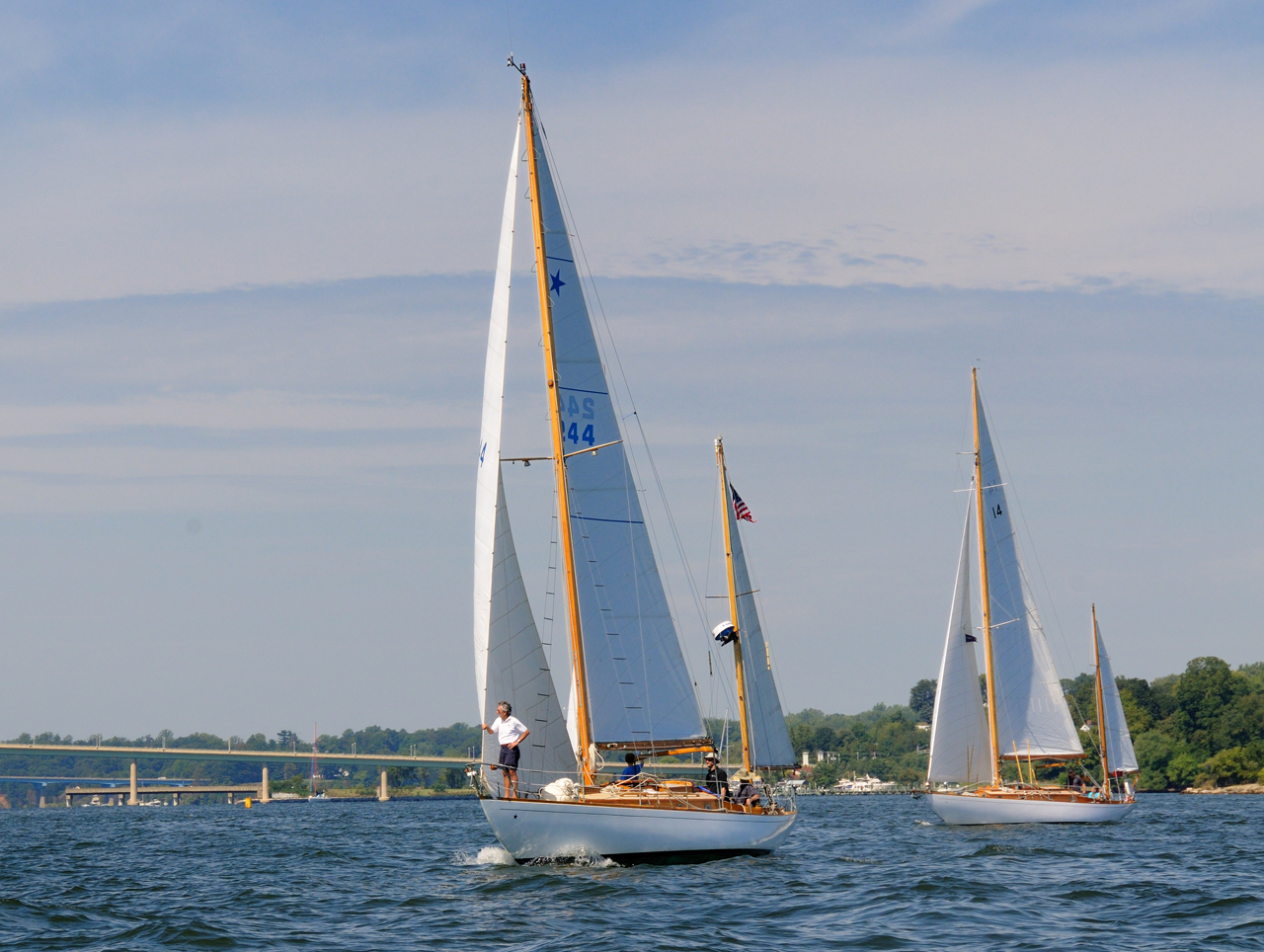 Concordia #44 Lacerta